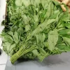 Feuille fraîche de bissap oseille 500gr – Image 2